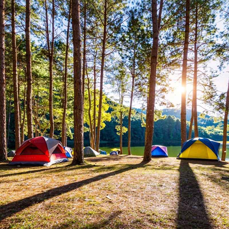 Campingartikel